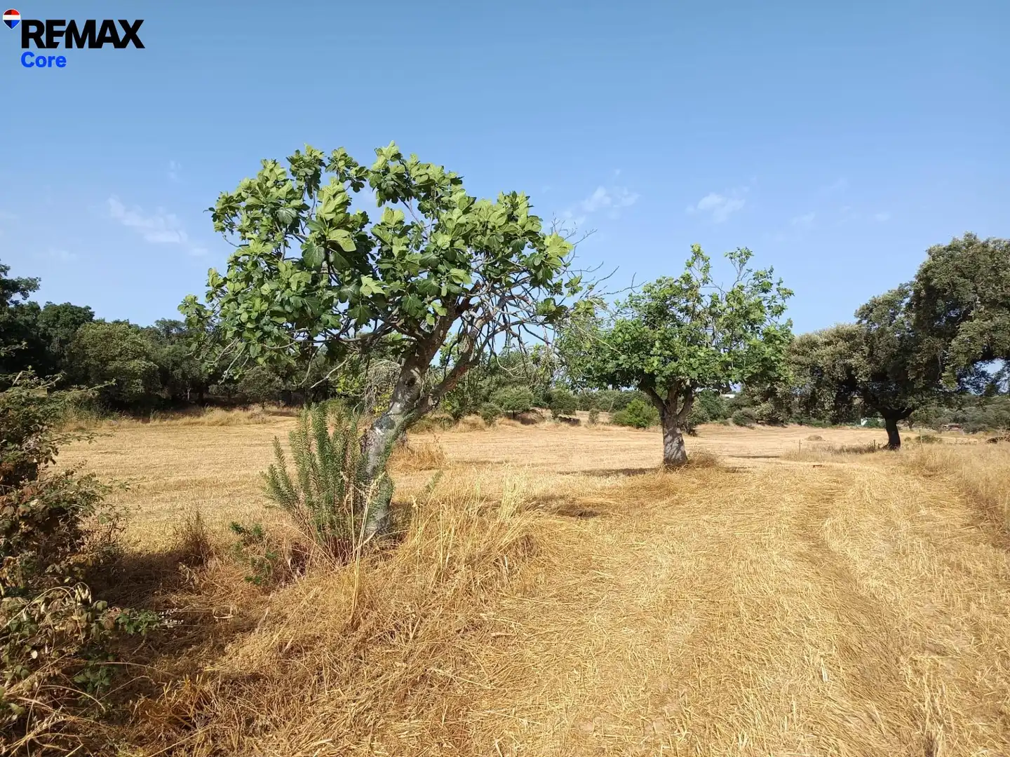 Terreni e lotti in vendita a Alburquerque, imagen 12