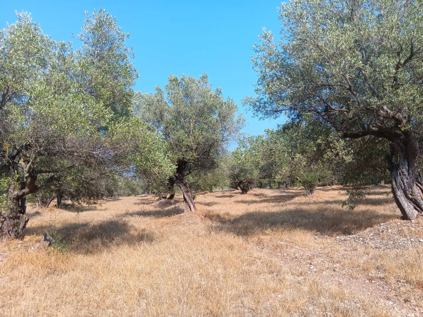 Residencial en venta en Tortosa