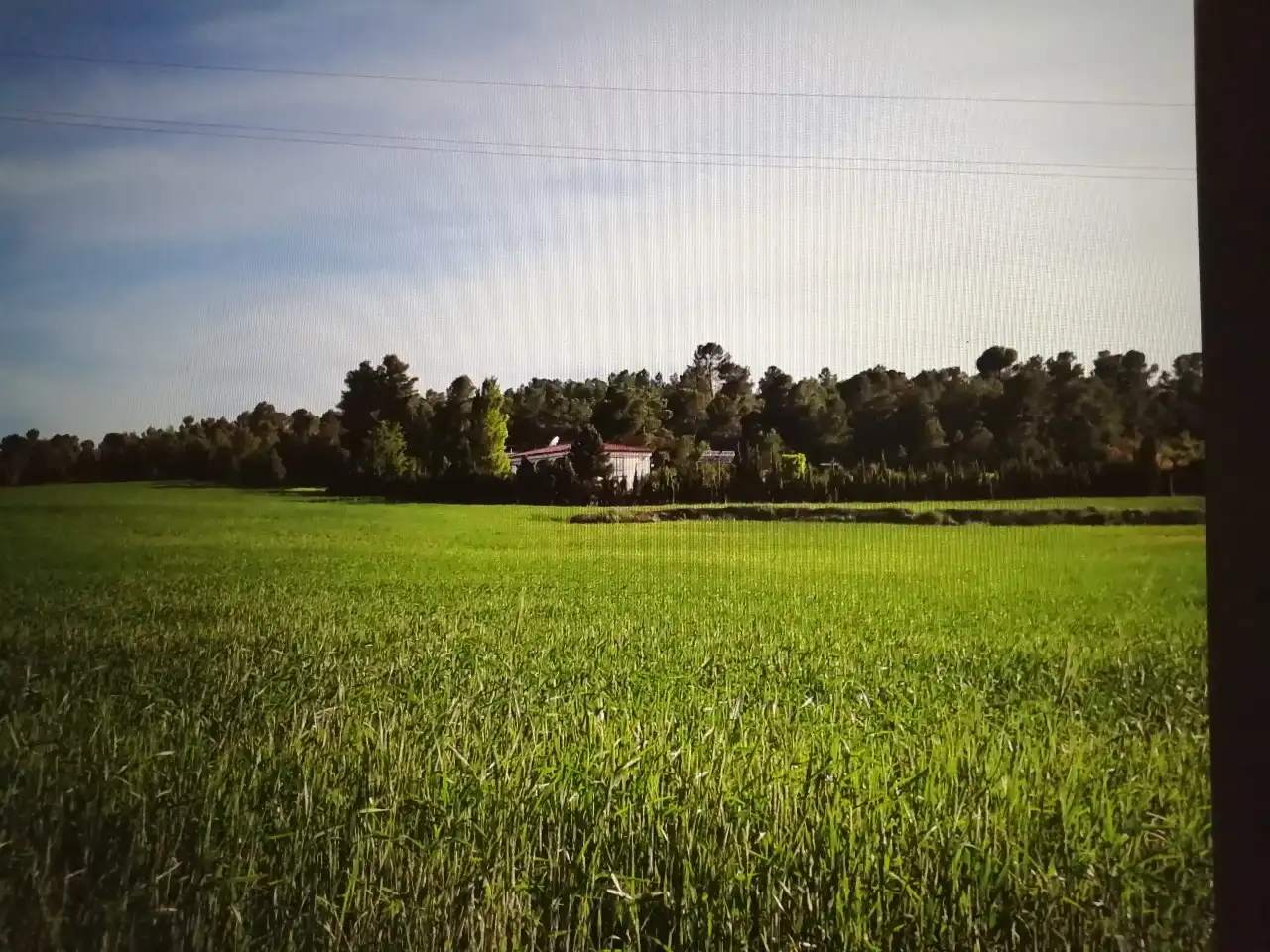 Finca rústica en venta en Jarafuel con Calefacción, Jardín privado y Amueblado