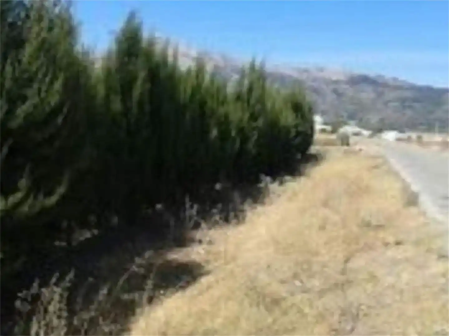 Land for sale in Alfarnate