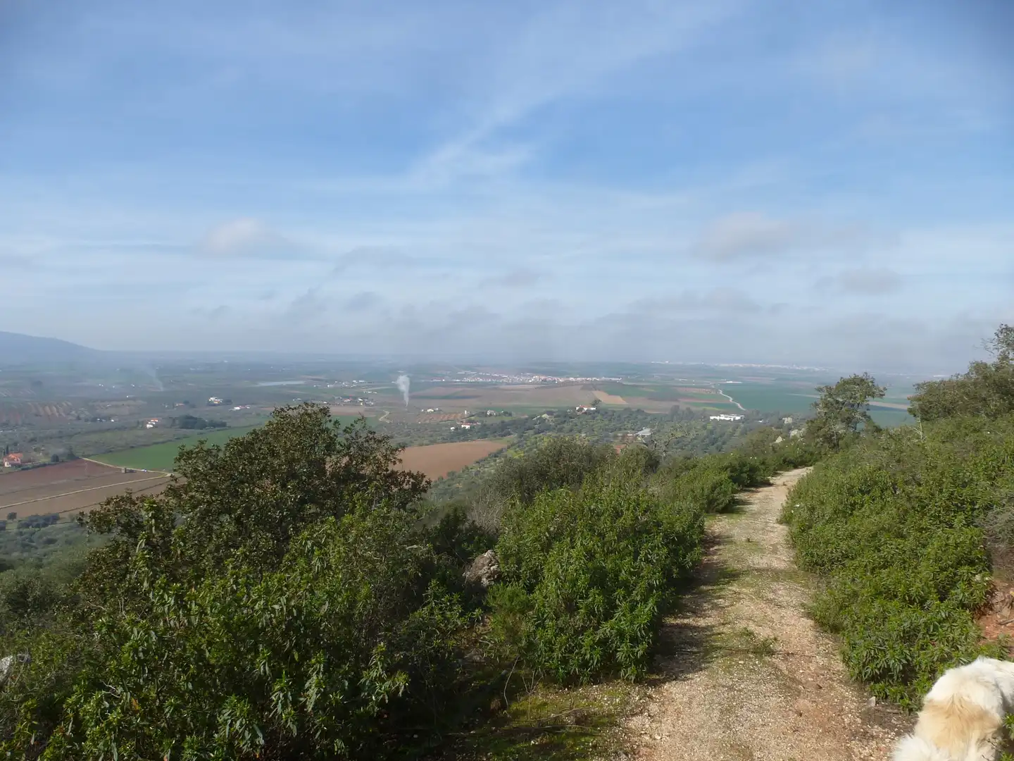 Exterior view of Land for sale in La Haba 
