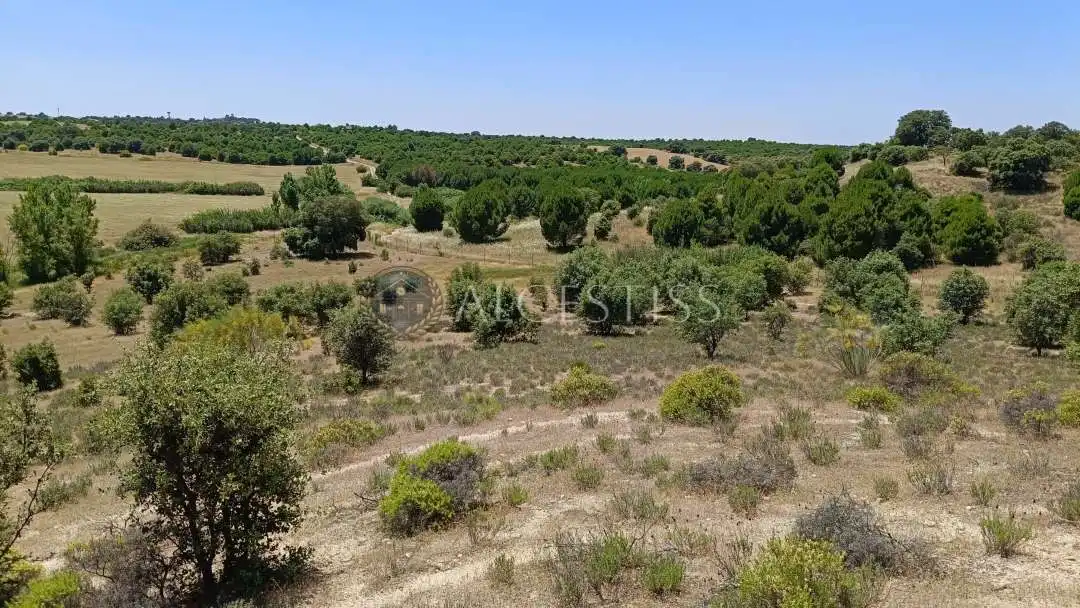 Terreno en venta en La Torre de Esteban Hambrán