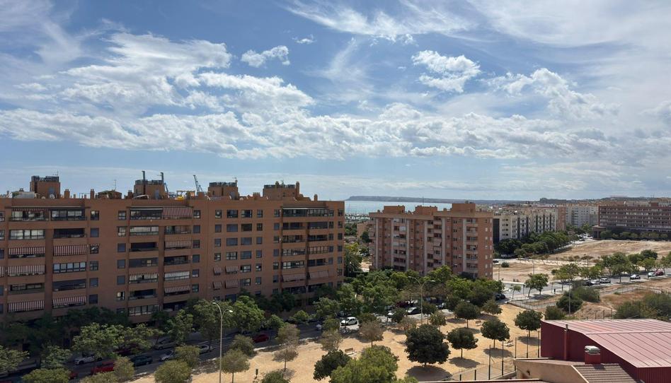 Photo 1 of Flat for sale in Avenida del Alcalde Lorenzo Carbonell, Babel, Alicante