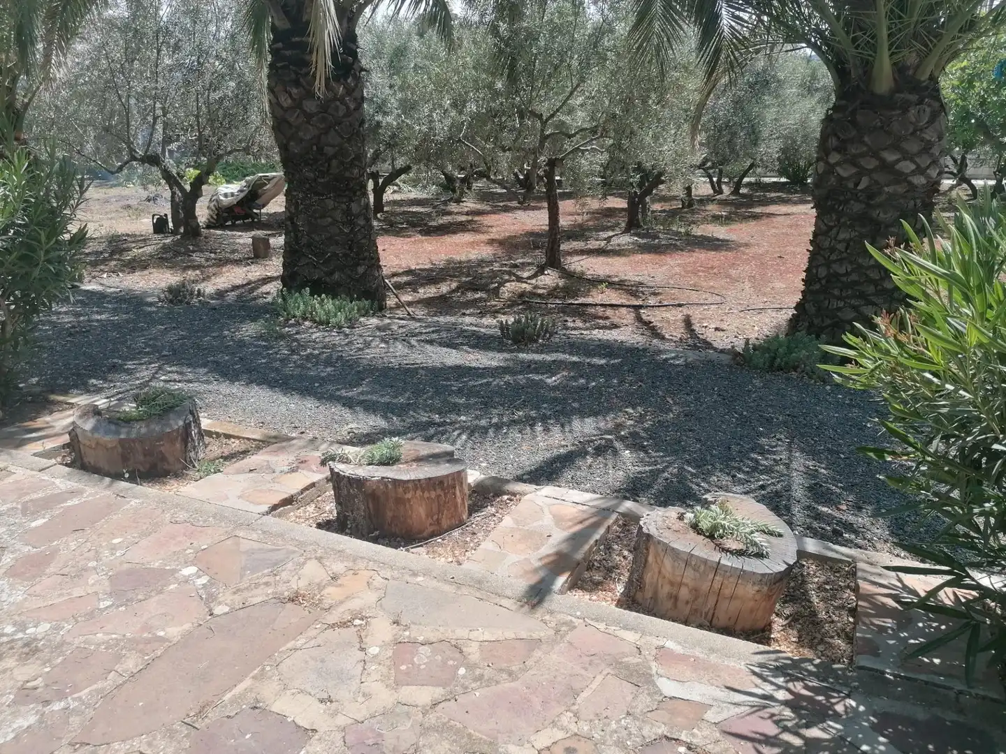 Jardín de Casa o chalet en venta en Brazatortas con Aire acondicionado, Calefacción y Jardín privado