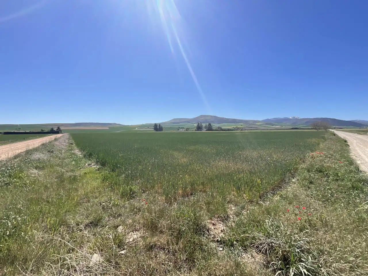Terreny rústic en venda a Santo Domingo de la Calzada, imagen 4