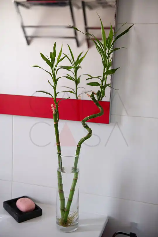 Casa o chalet en venta en Villaescusa (Cantabria) con Calefacción, Jardín privado y Terraza