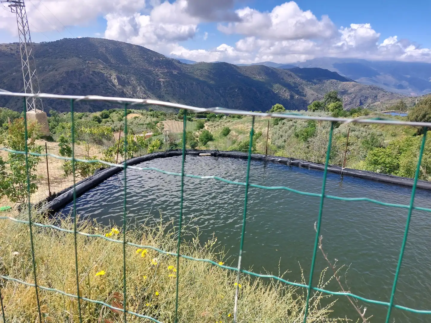Garden of Land for sale in Pórtugos
