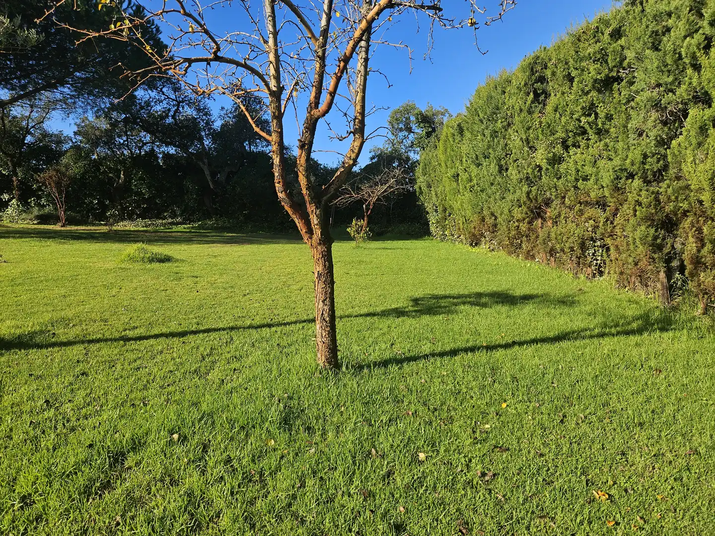 Casa o xalet en venda a Calle Comarca de Gata, Ruta de la Plata