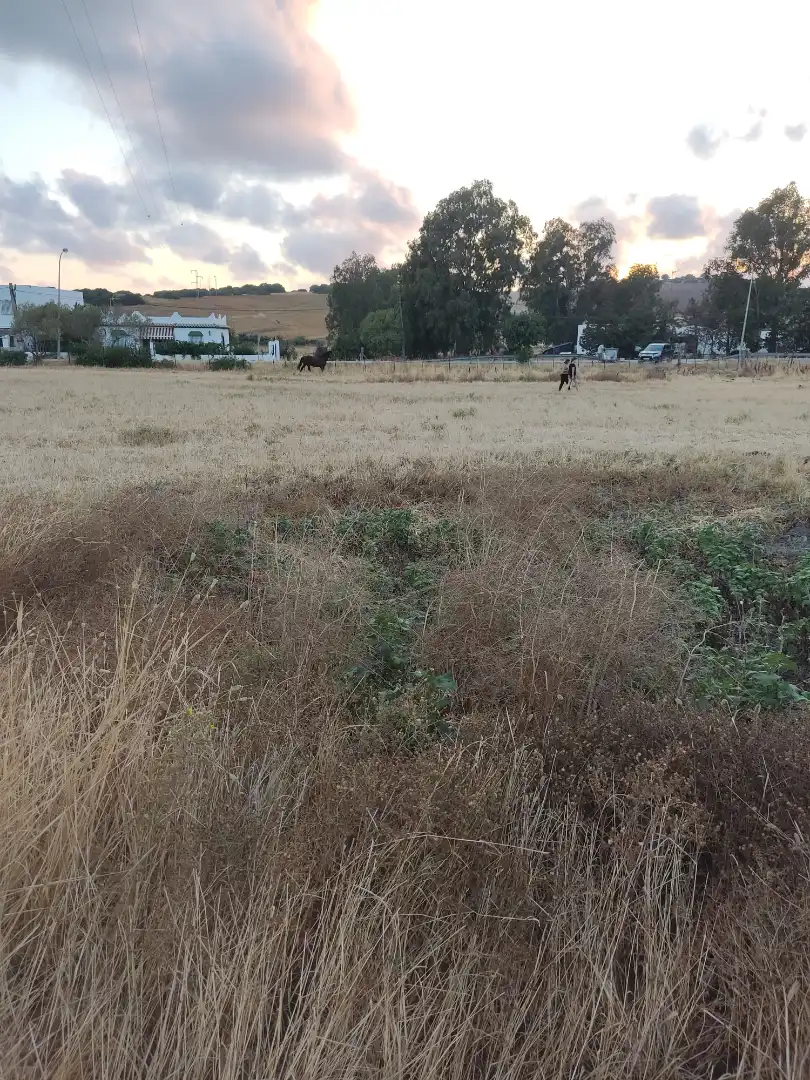 Land for sale in Vejer de la Frontera