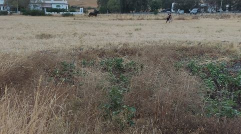 Photo 2 of Land for sale in Vejer, Vejer de la Frontera