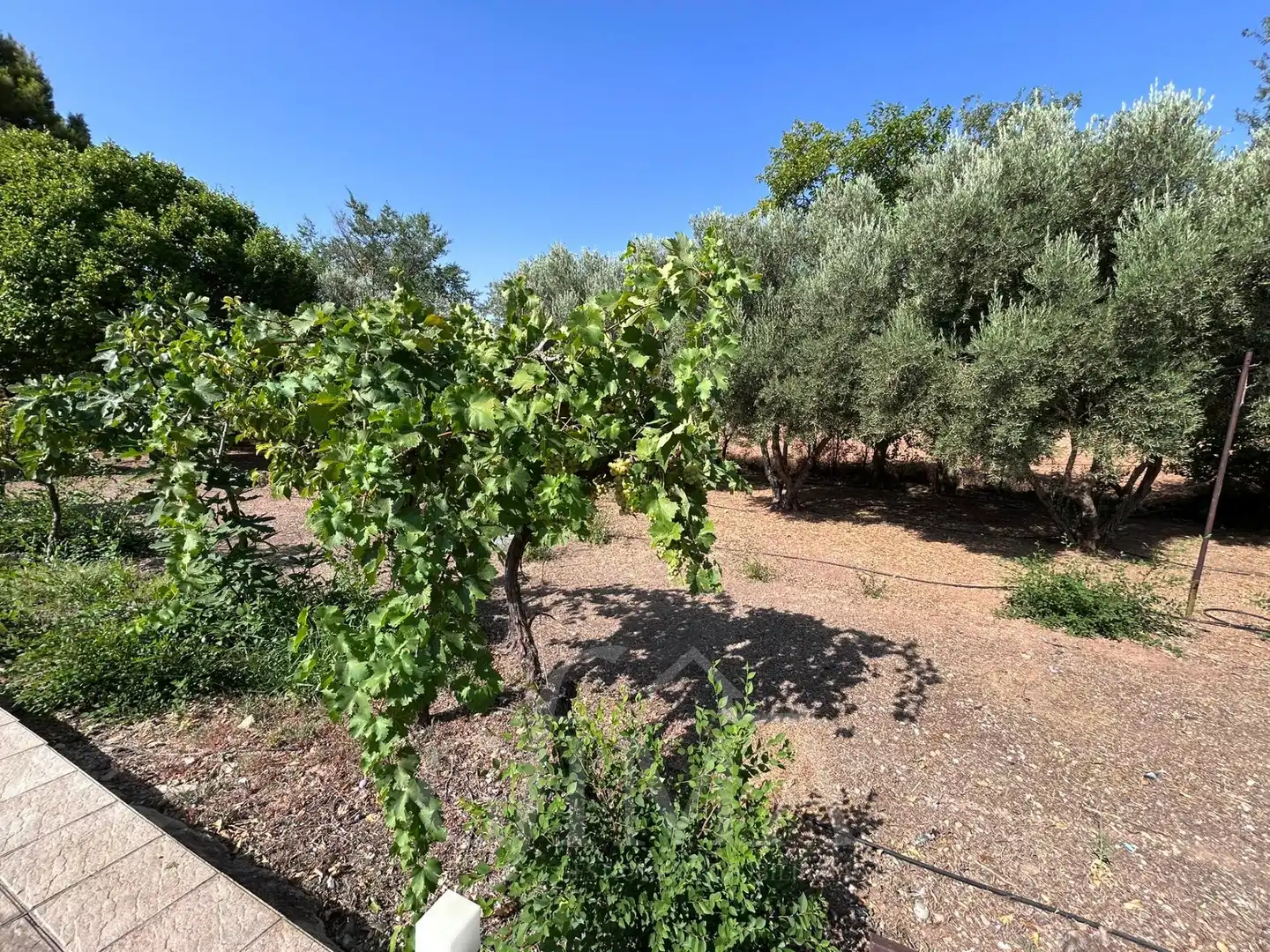 Chalet con piscina en venta en Argamasilla de Alba, imagen 55