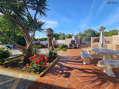 Jardí de Casa o xalet en venda en Écija amb Aire condicionat, Terrassa i Piscina