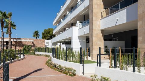 Photo 4 of Ground floor for sale in Playa Flamenca, Orihuela