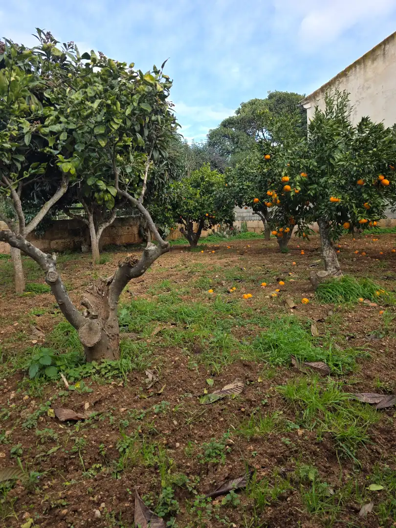 Country homes for sale in Manacor  with Private garden, Parquet flooring and Terrace
