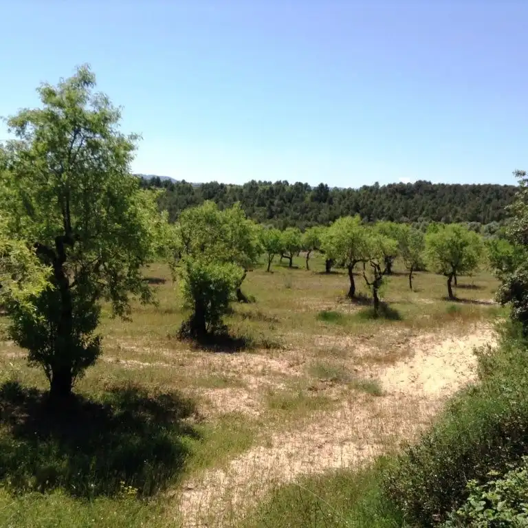 Terreni e lotti in vendita a Arens de Lledó, imagen 8