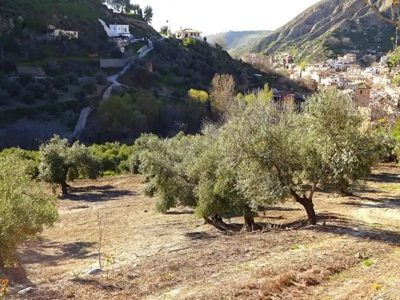 Landhaus zum Verkauf in Monachil pueblo, imagen 6