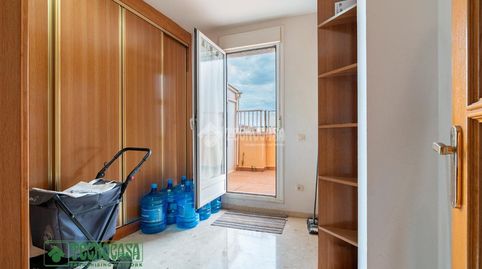 Foto 3 de Piso en venta en Ejido Centro, El Ejido