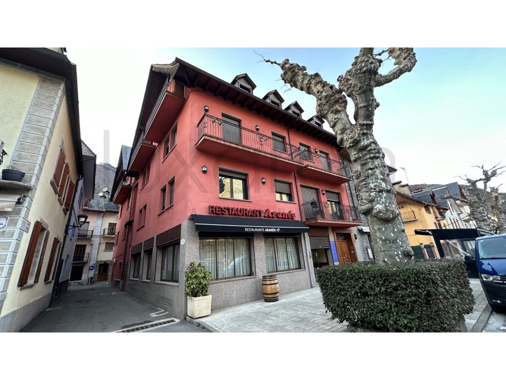 Premises for sale in Bossòst