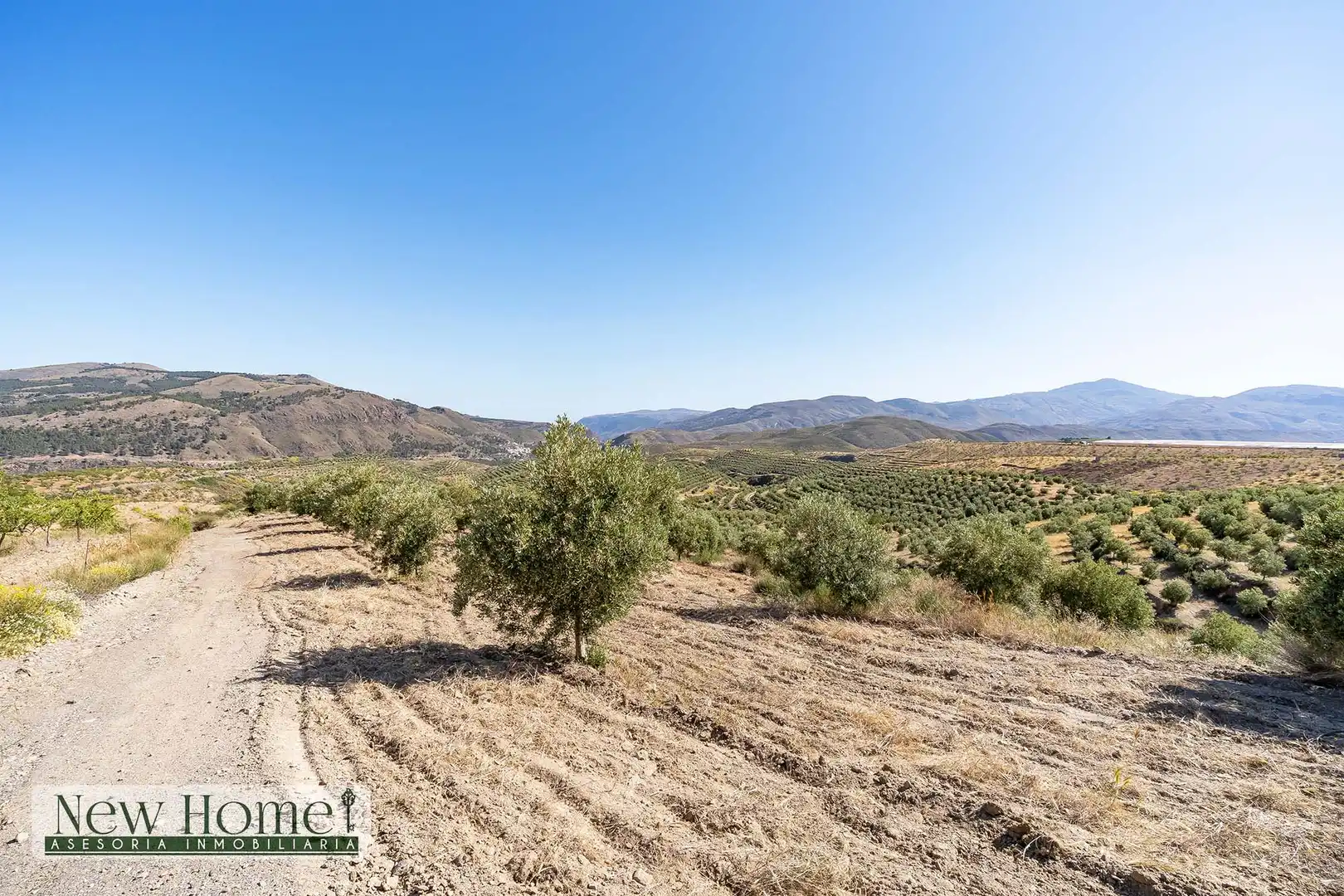 Finca rústica en venta en Ugíjar