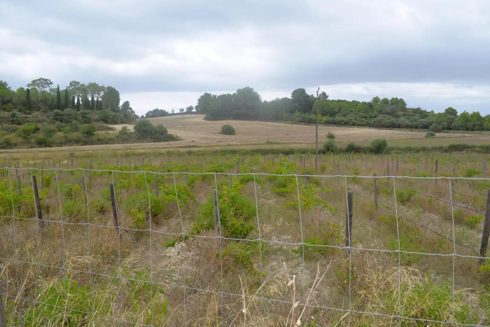 Residential land for sale in Santa Margalida Poble, imagen 7