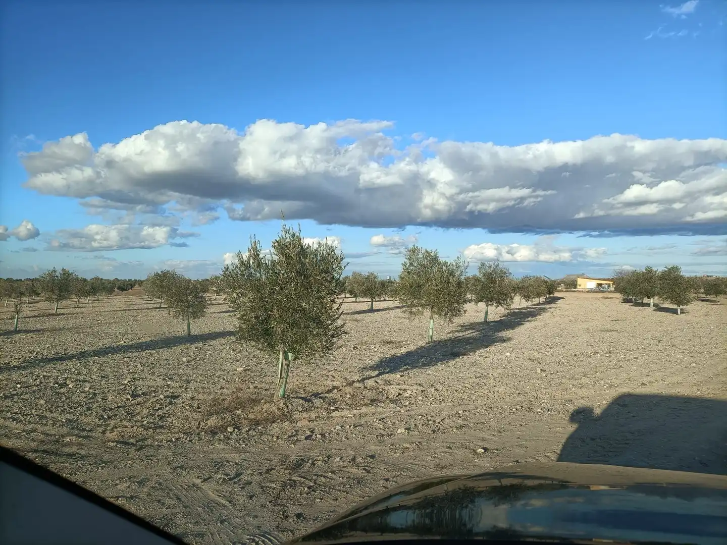 Rural land for sale in Almonacid de Toledo, imagen 4