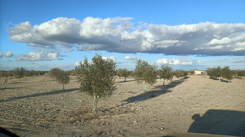 oferta de finca , imagen 4
