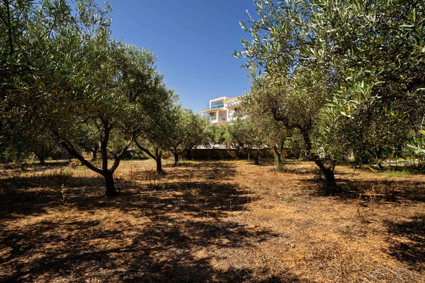 Houses for sale in Alcalà de Xivert  with Private garden, Terrace and Swimming Pool