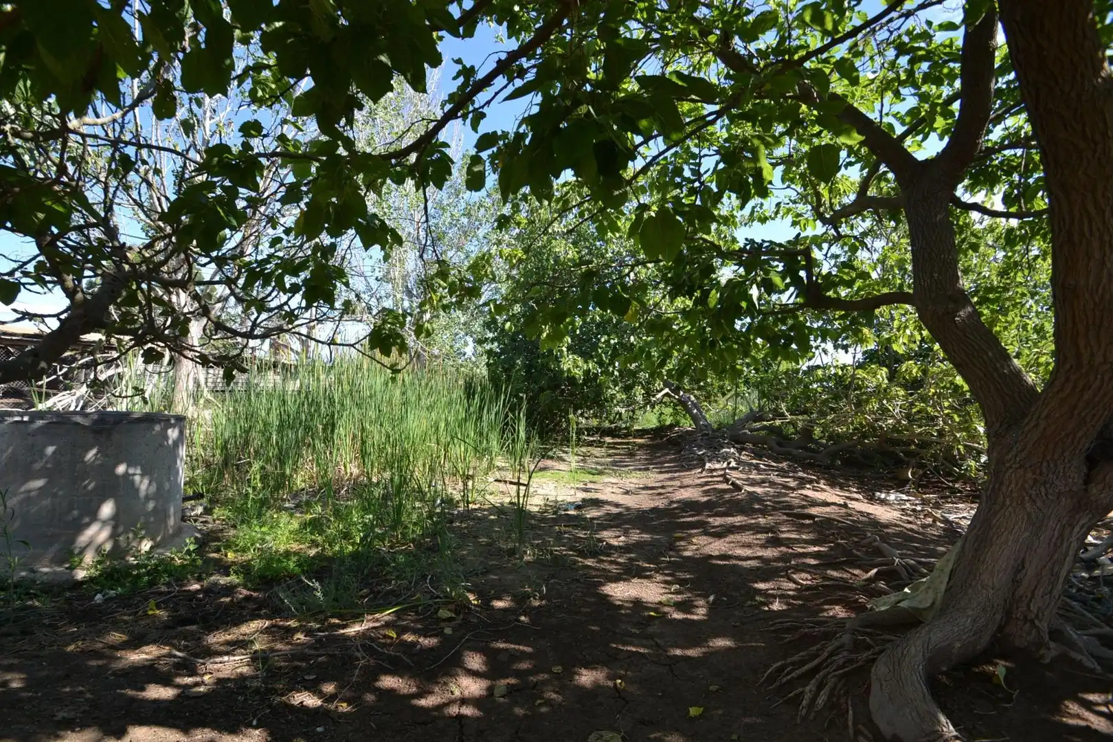 Finca rústica en venta en Deltebre con Jardín privado y Trastero