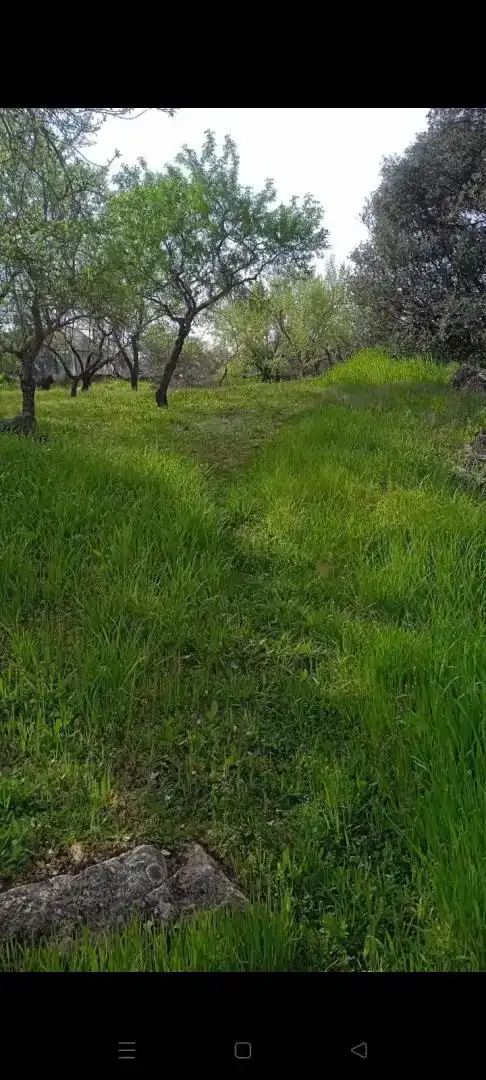 Finca rústica en venda en Jaén amb Jardí privat, Traster i Balcó