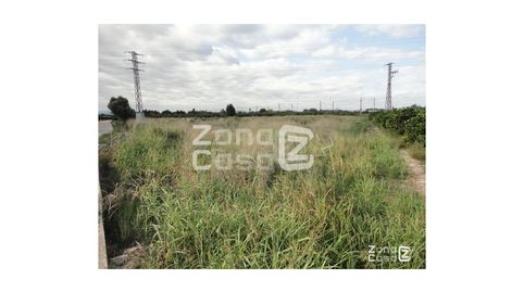 Foto 5 de Finca rústica en venda a Poligono Num 31, Urbanitzacions i Pedanies Sud, Alzira