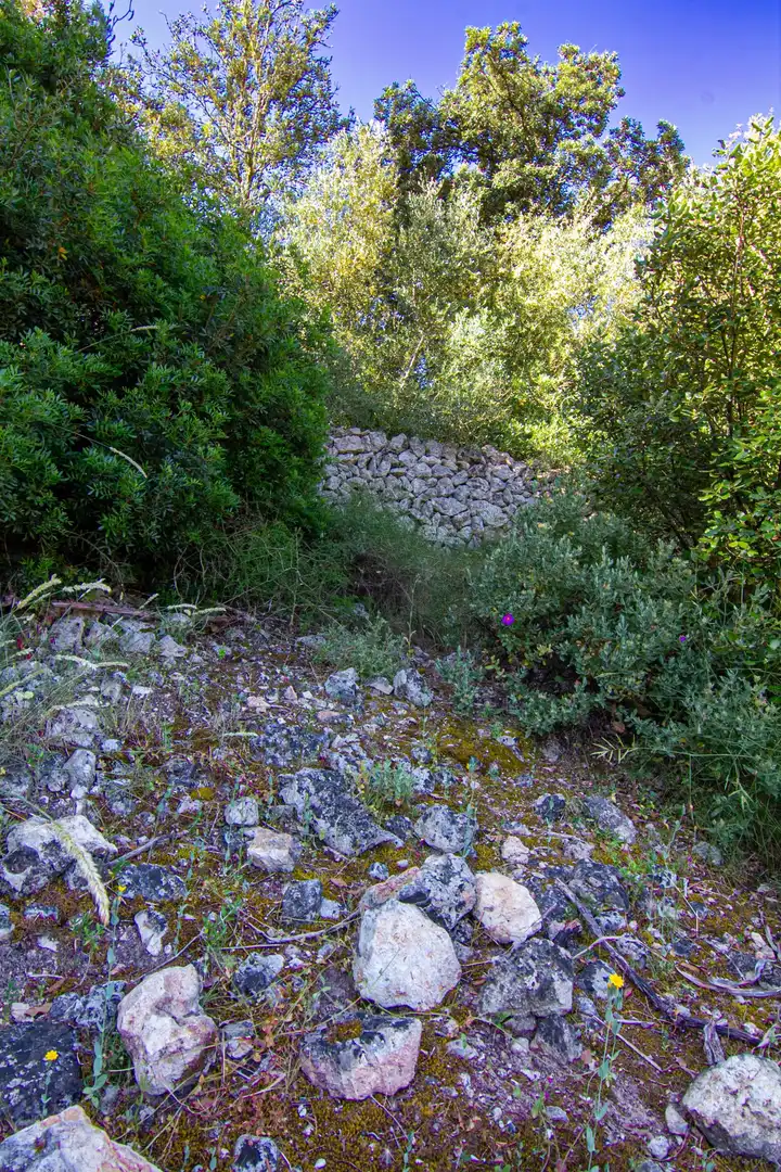 Casa rústica en venda a Porreres a Sant Joan, imagen 36