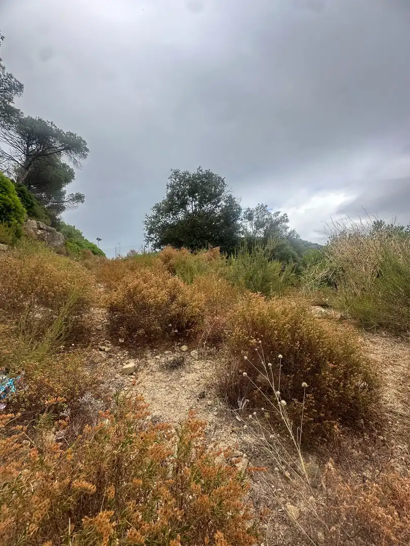 Terrains et parcelles à vendre à Vilanova del Vallès, imagen 6