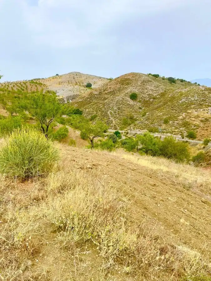 Rural land for sale in Puerto Lumbreras, imagen 3