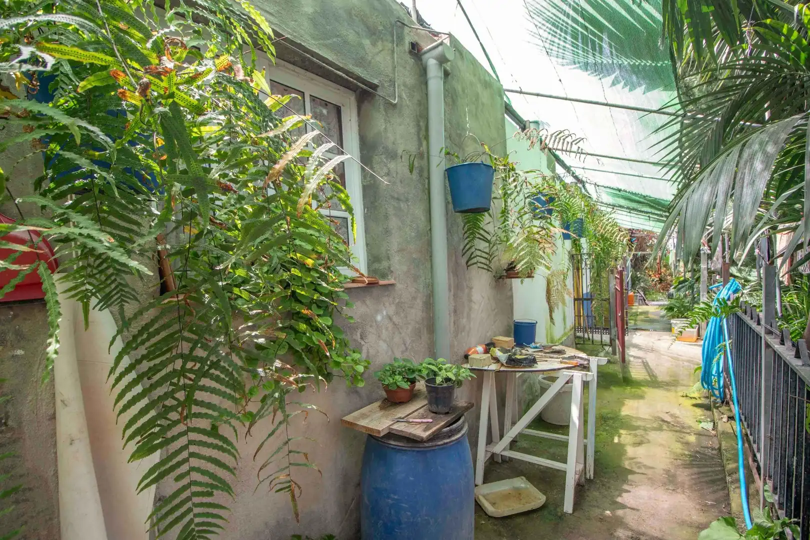 Vista exterior de Casa o xalet en venda en Icod de los Vinos amb Jardí privat, Terrassa i Traster