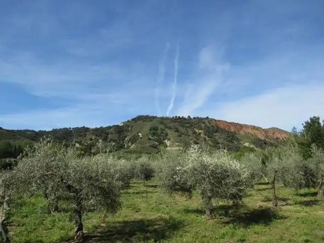 Exterior view of Land for sale in Cenes de la Vega