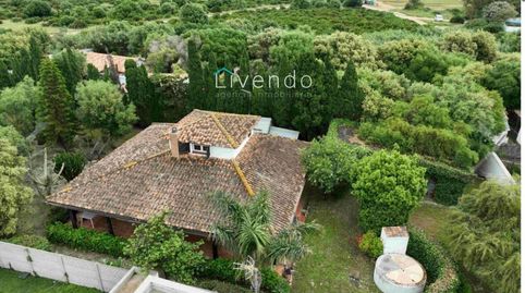 Foto 3 de Casa o xalet en venda a El Palmar, Vejer de la Frontera