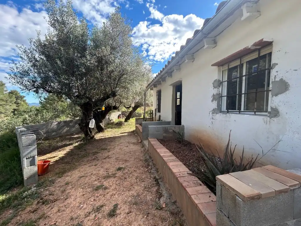 Finca rústica en venta en Partida Berro, Altura