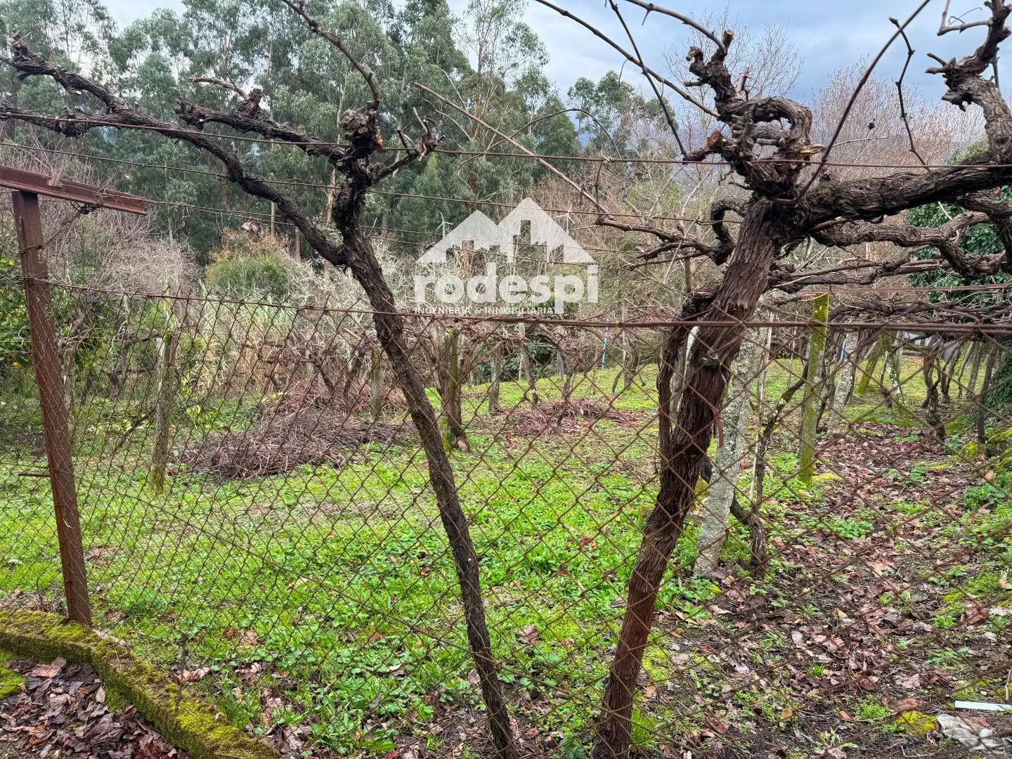 Casa o chalet en venta en Arbo