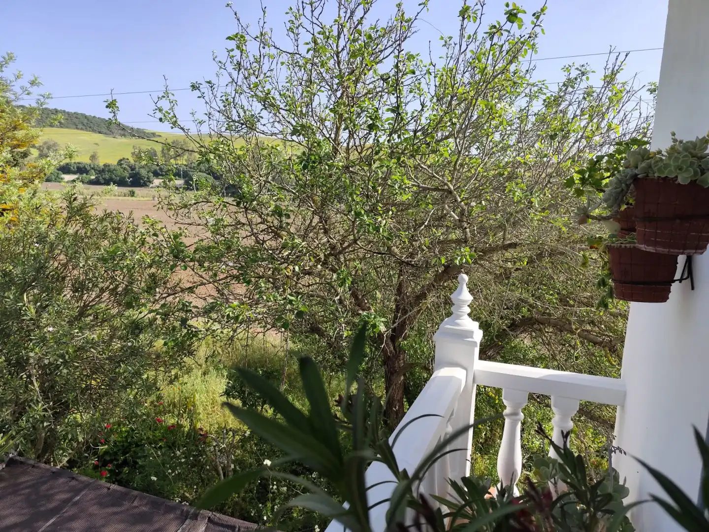 Casa rústica en venda a Arcos de la Frontera, imagen 6