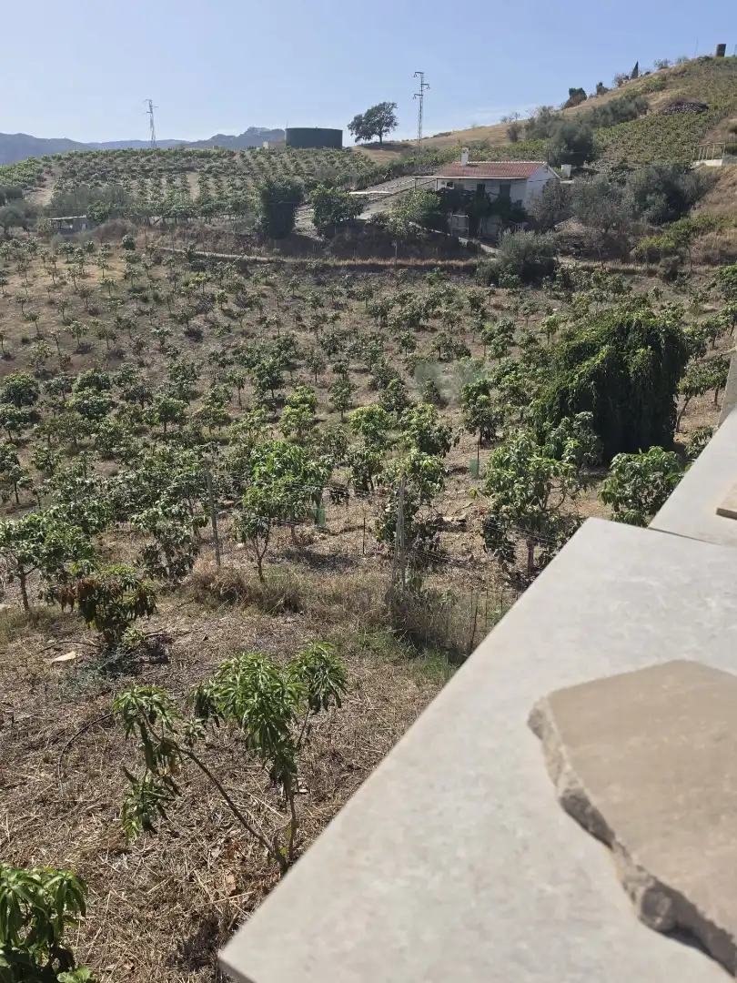 Terrain rustique à vendre à Plaza Del Trabajo 2, imagen 15