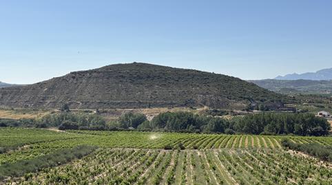 Photo 5 of Premises for sale in Laserna - Calle San Rafael, Laguardia, Araba - Álava