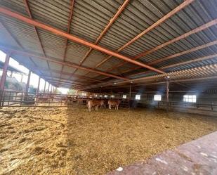 Casa o xalet en venda a Fontcalent