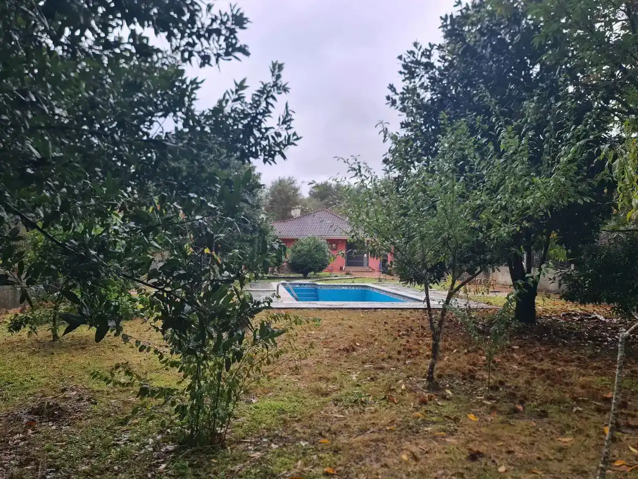 Jardí de Casa o xalet en venda en Mondariz amb Piscina