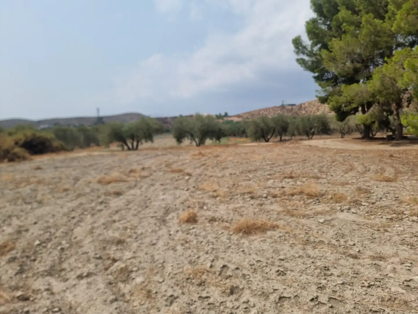 Rustikales Grundstück zum Verkauf in Tabernas