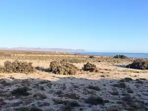 Pis amb terrassa de lloguer a Camino del mar de Retamar, imagen 14