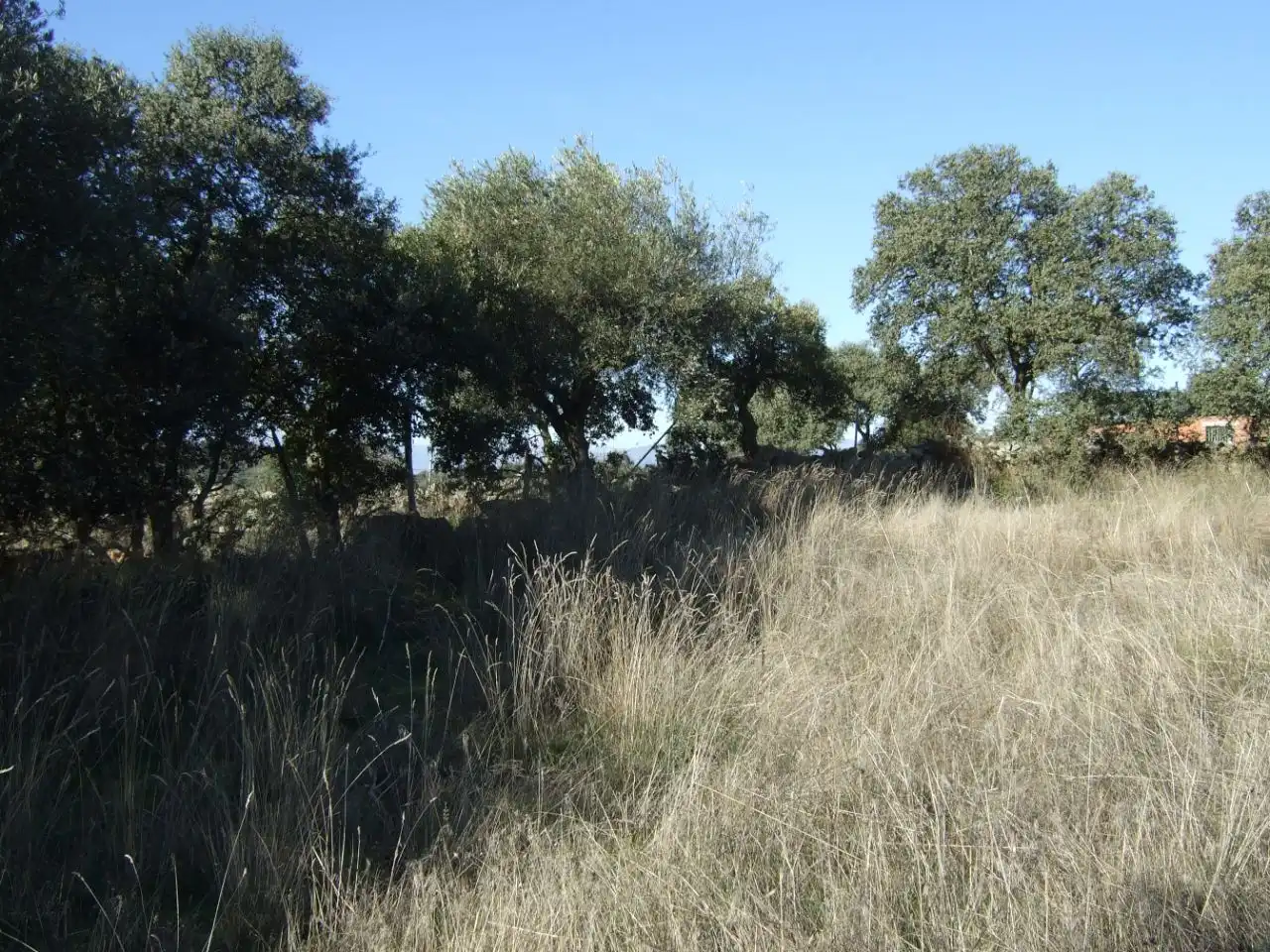 Terreno en venta en Segurilla