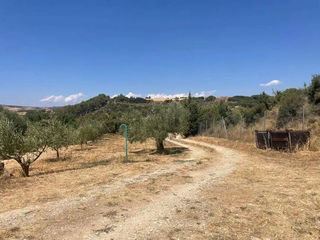 Terreno en venta en Pueyo / Puiu