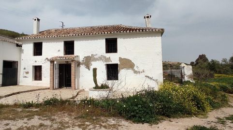FINCA DE REGADÍO, CON VIVIENDA, ALMACÉN JARDÍN Y PISCINA, immagine 2