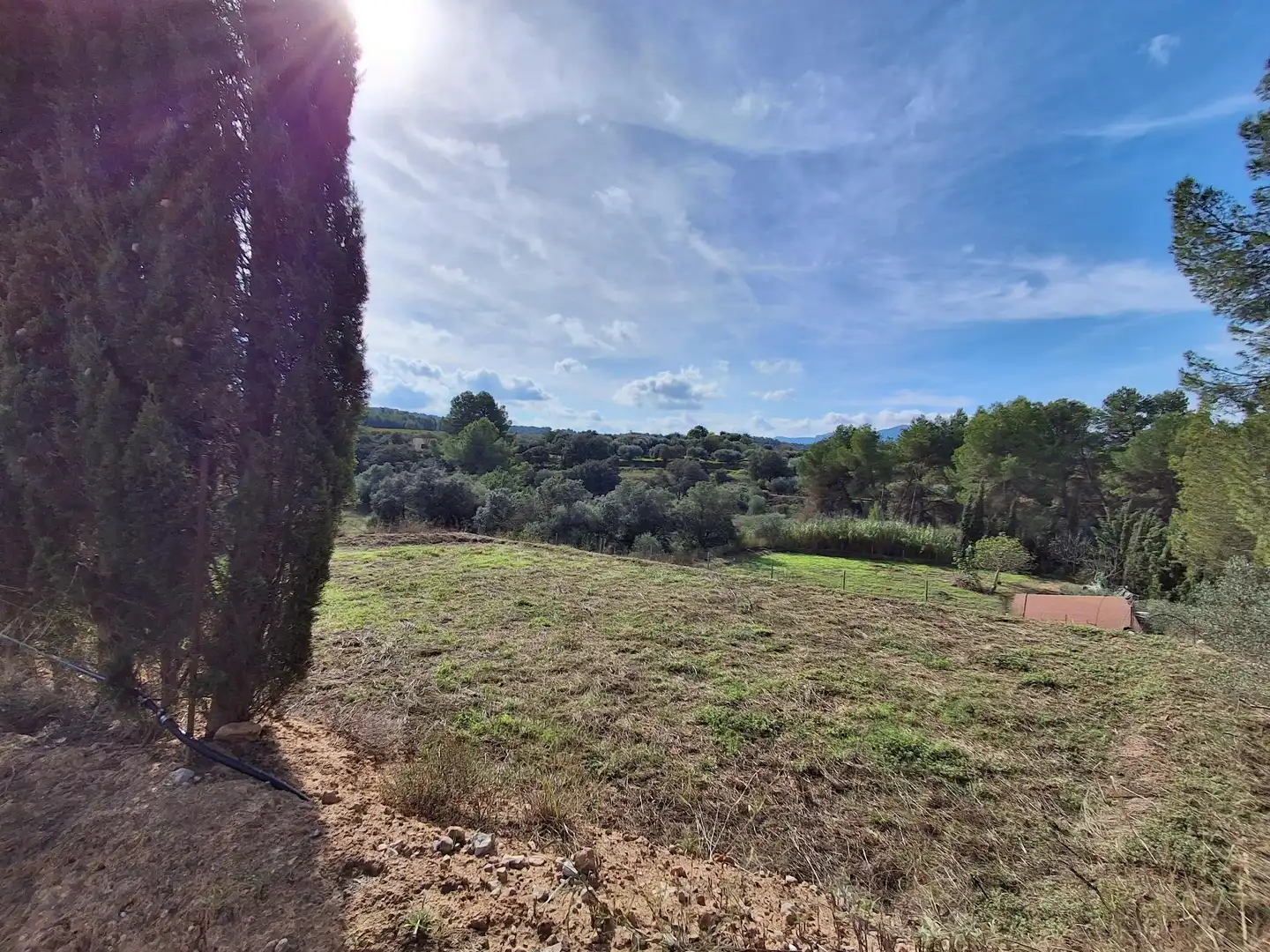 Rural land for sale in Ginestar, imagen 51