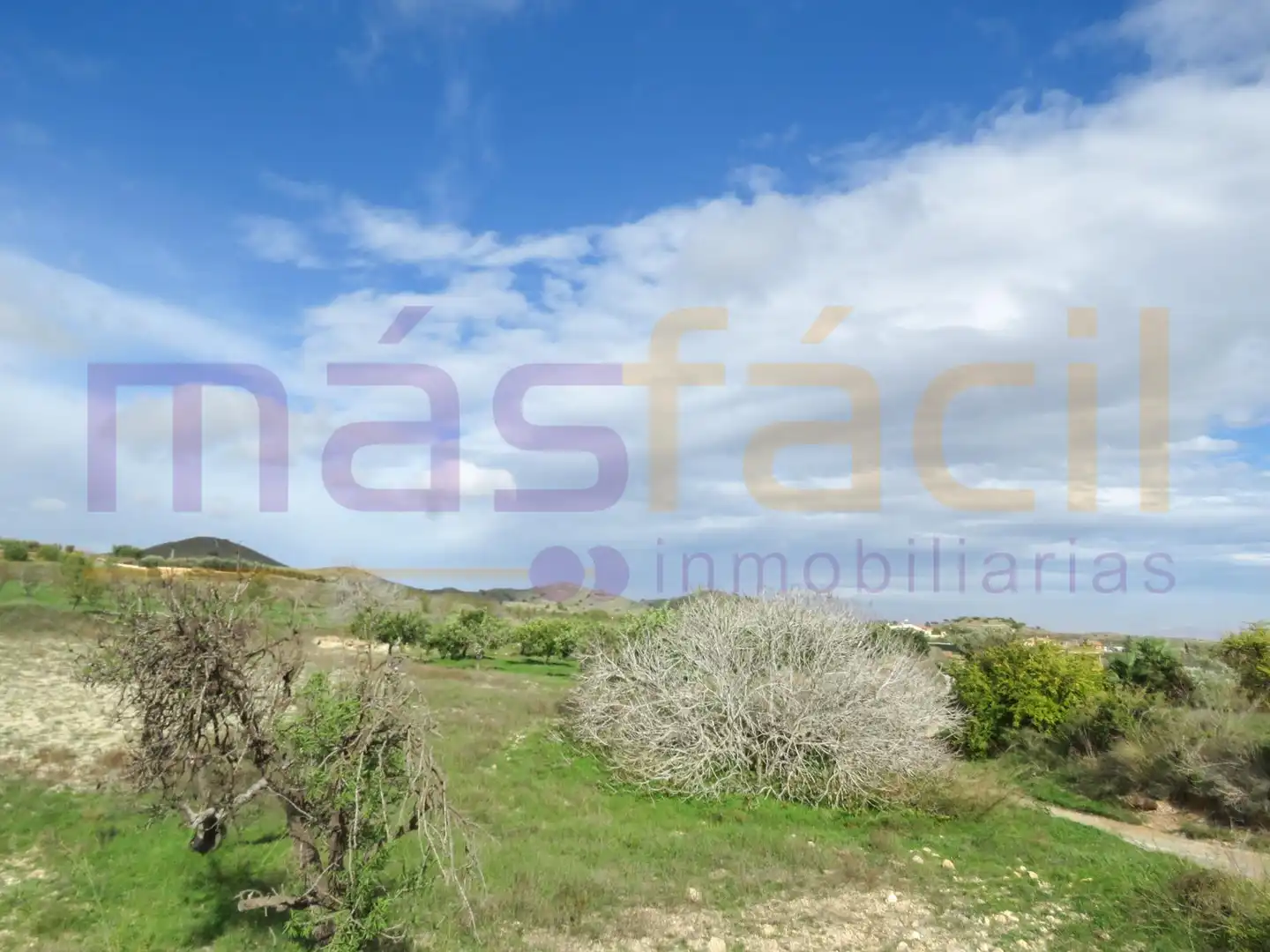 Finca rústica en venta en LOS MORENOS, Los Barreros - Cuatro Santos